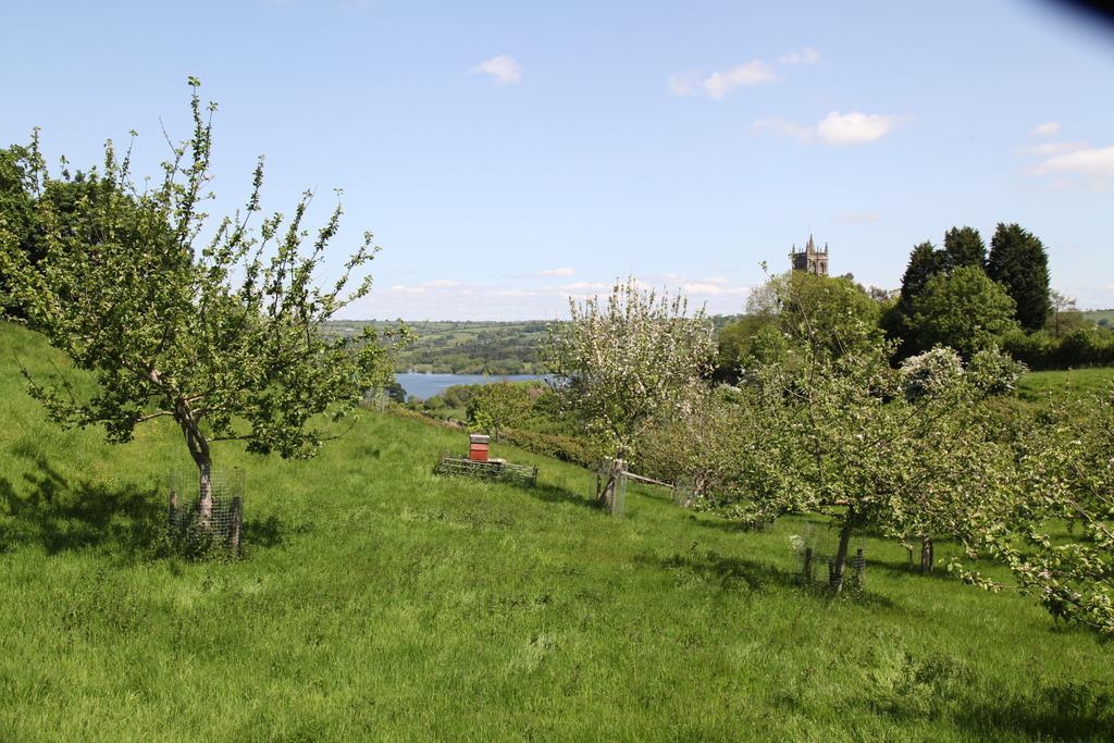 The Seymour Arms Ξενοδοχείο Blagdon Εξωτερικό φωτογραφία